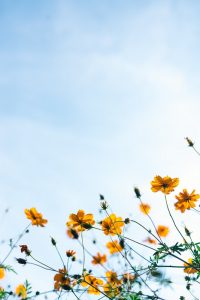 Vision Health in May